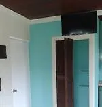 Rays Bed And Breakfast Hostel Kingston Hotel