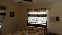 Rays Bed And Breakfast Hostel Kingston Hotel